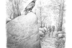 raven-bouldering-02b