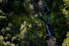 From Hite Cove Trail, near Yosemite National Park.