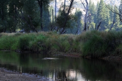 IMG_0785
